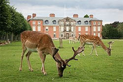 Dunham Massey