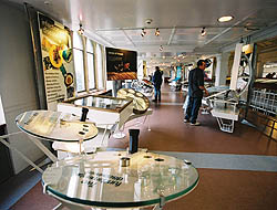 Manchester Museum interior